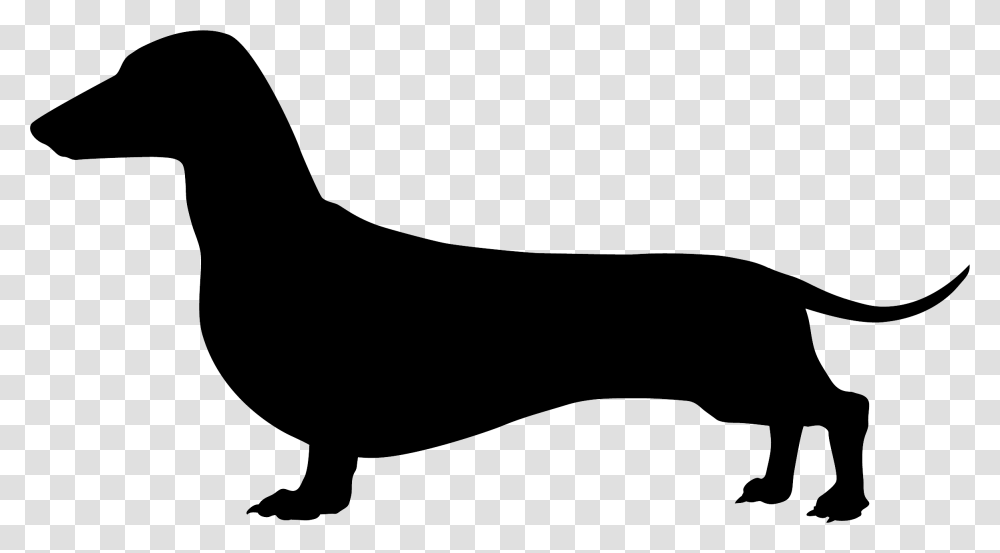 Dachshund, Animals, Silhouette, Mammal, Stencil Transparent Png