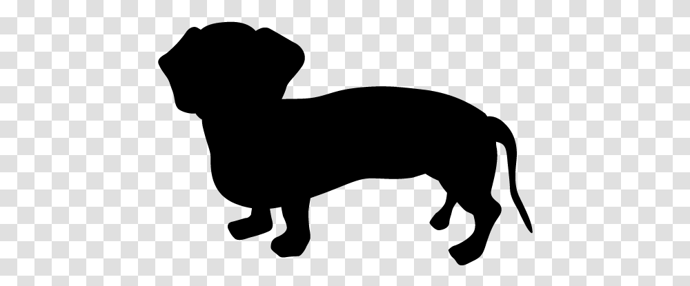Dachshund Blank And White, Gray, World Of Warcraft Transparent Png