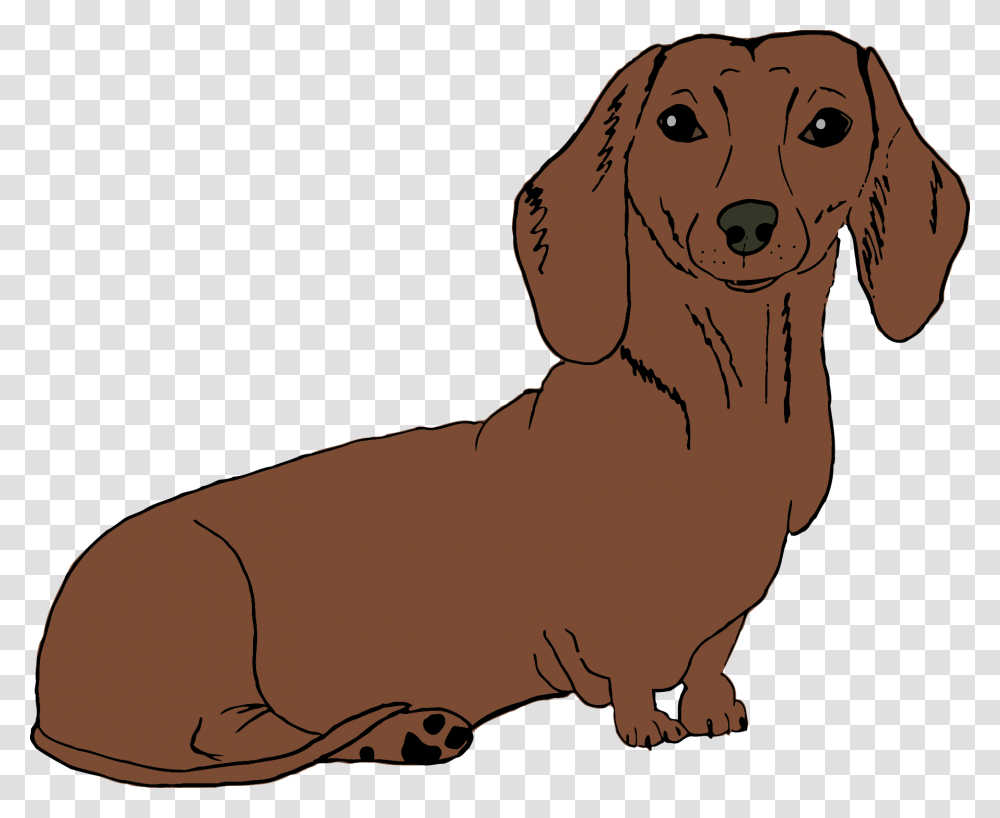 Dachshund Brown Dachshund Cartoon, Puppy, Dog, Pet, Canine Transparent Png