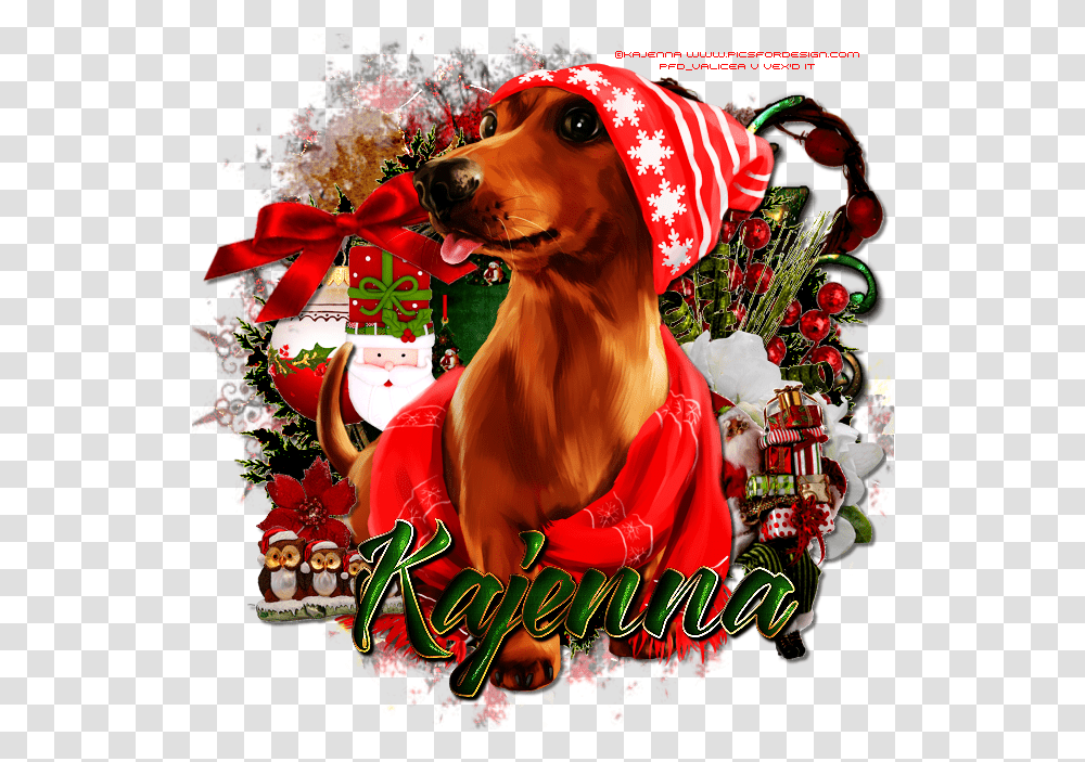 Dachshund, Poster Transparent Png