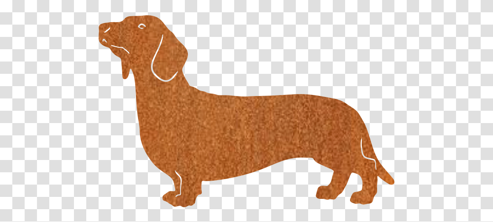 Dachshund Dachshund, Mammal, Animal, Pet, Wildlife Transparent Png