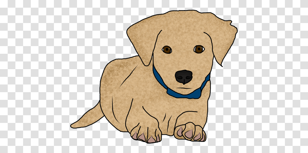 Dachshund, Pet, Animal, Canine, Mammal Transparent Png