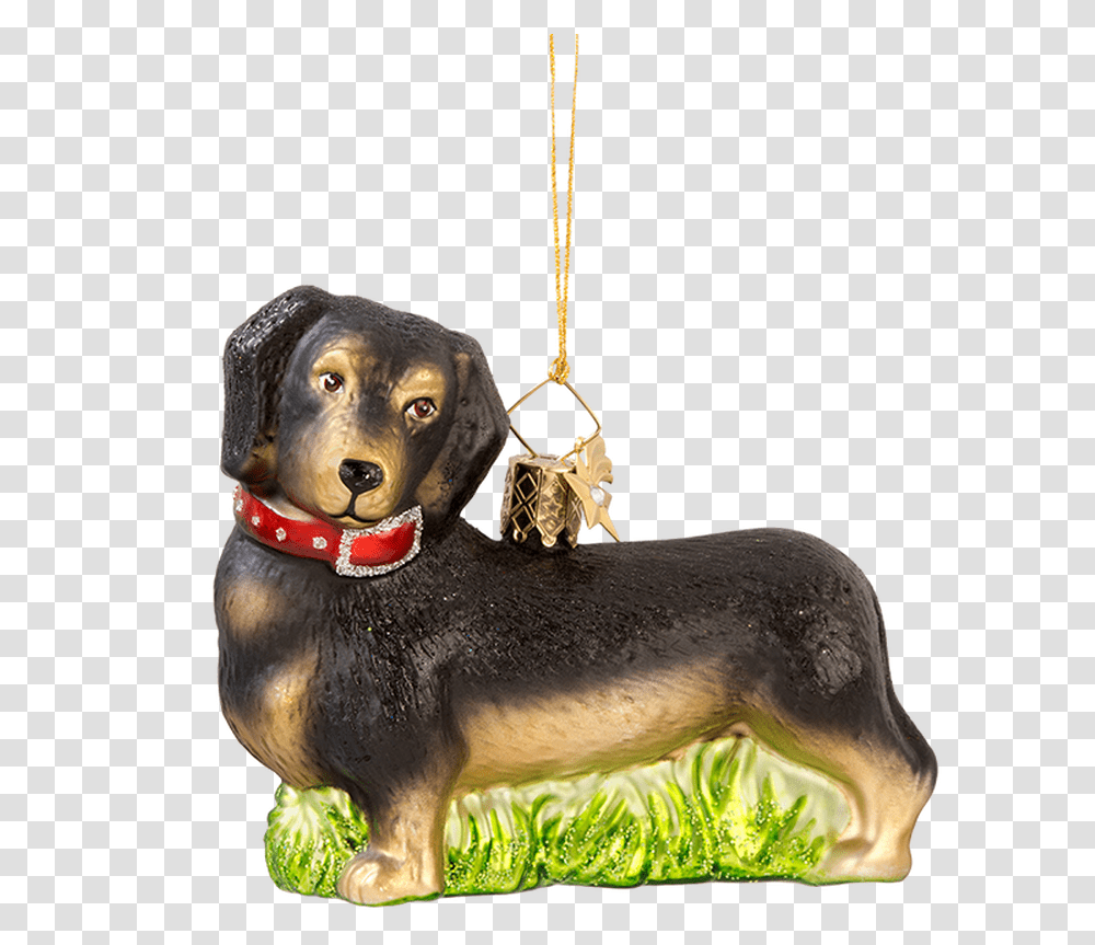 Dachshund, Pet, Animal, Plant, Dog Transparent Png