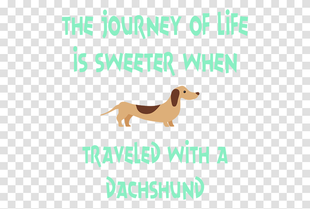 Dachshund, Poster, Advertisement, Canine, Mammal Transparent Png