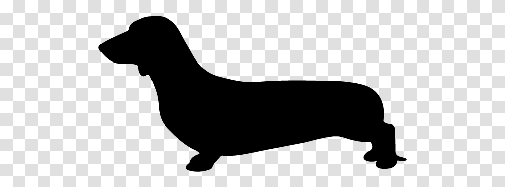 Dachshund Silhouette Sausage Dog Silhouette, Gray, World Of Warcraft Transparent Png