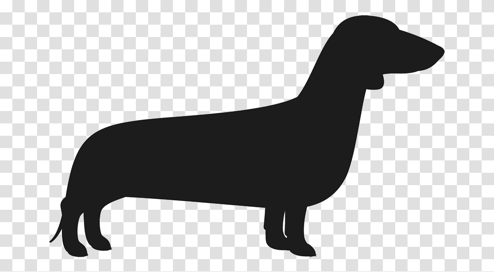 Dachshund Silhouette Silhouette Dachshund, Mammal, Animal, Nature, Outdoors Transparent Png