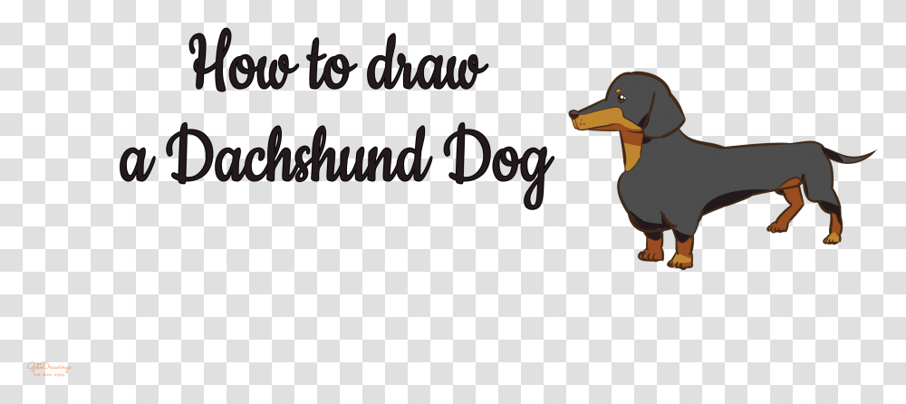 Dachshund, Animal, Dog, Pet Transparent Png