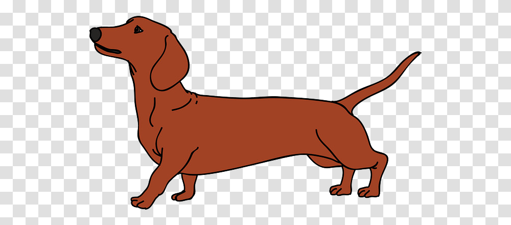 Dachshund Vector Graphics Dog Breed Puppy Illustration Dachshund Vector, Mammal, Animal, Wildlife, Pet Transparent Png