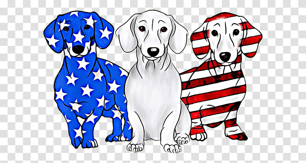 Dachshund With American Flag, Person, Human, Dog, Pet Transparent Png