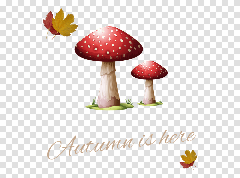 Dad Thanks For Being A Fungi, Plant, Fungus, Agaric, Mushroom Transparent Png