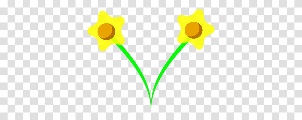 Daffodil Nature, Green, Plant, Tulip Transparent Png