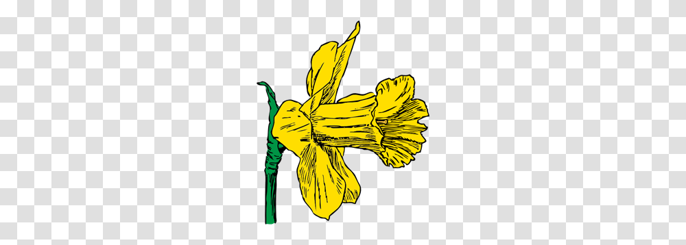 Daffodil Bloom Clip Arts For Web, Plant, Flower, Wasp, Bee Transparent Png