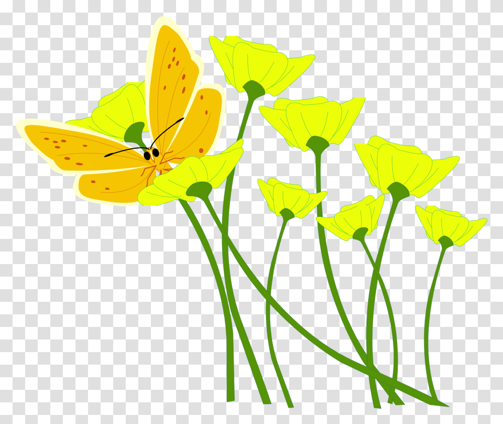 Daffodil Clip Art 18 Butterfly In Flower Vector, Petal, Plant, Blossom, Leaf Transparent Png