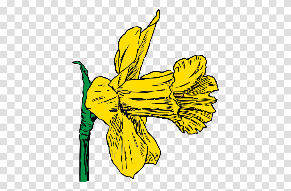 Daffodil Clip Art Free Svg Sideways Flower Clipart, Plant, Blossom, Fish, Animal Transparent Png