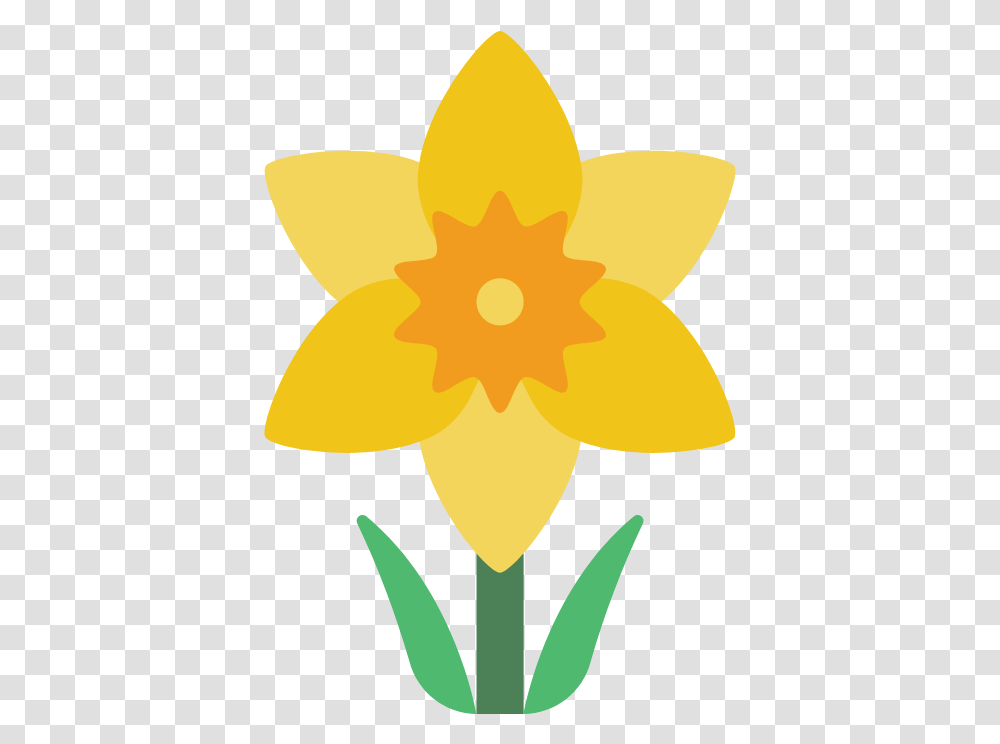 Daffodil Daffodil Icon, Plant, Flower, Blossom, Person Transparent Png