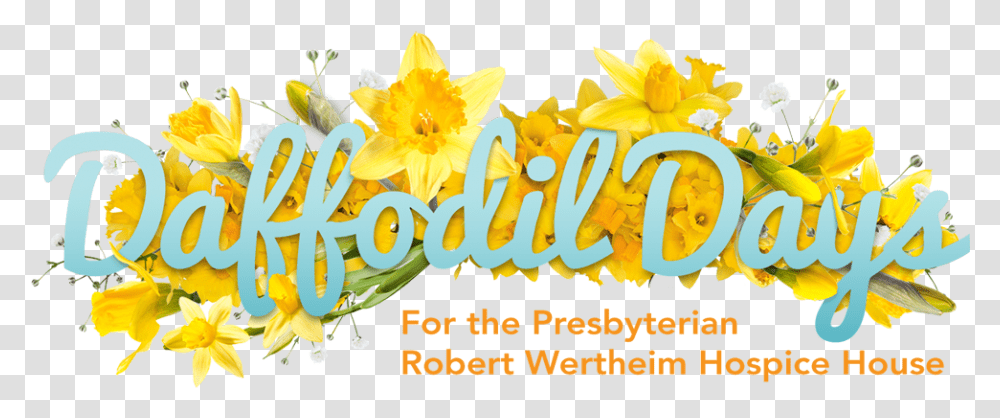 Daffodil Days 2021 Language, Plant, Flower, Blossom, Word Transparent Png