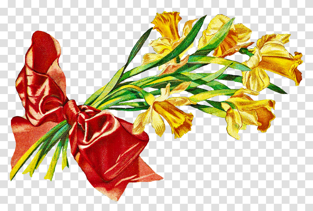 Daffodil Flower Pictures Clip Art, Leaf, Plant, Potted Plant, Vase Transparent Png