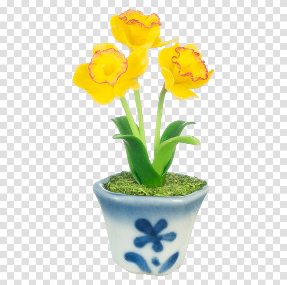 Daffodil Flowers In A Pot Dollhouse Tulip, Plant, Blossom, Iris, Petal Transparent Png