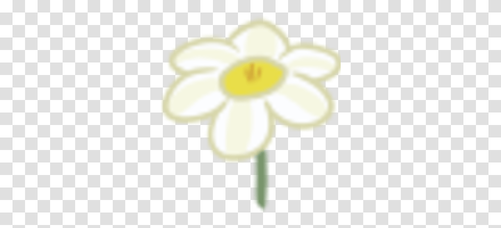 Daffodil Legends Of Equestria Wiki Fandom Lovely, Plant, Flower, Blossom, Daisy Transparent Png