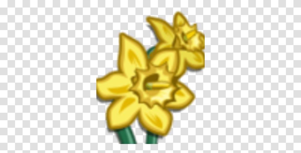 Daffodil Lovely, Gold, Plant, Flower, Blossom Transparent Png