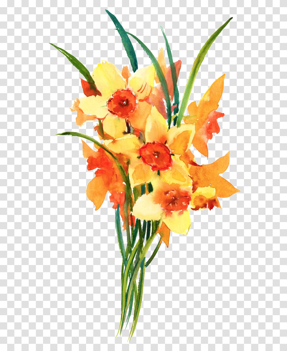 Daffodil Tribute Maine Suffrage Bouquet, Plant, Leaf, Flower, Blossom Transparent Png