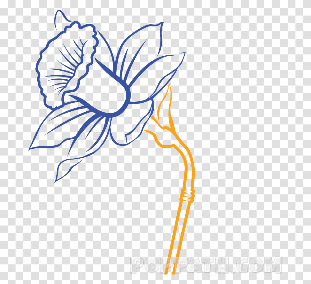 Daffodil Vector Simple Daffodil Flower Drawing Narcissus Flower Drawing Easy, Symbol, Art, Graphics, Logo Transparent Png