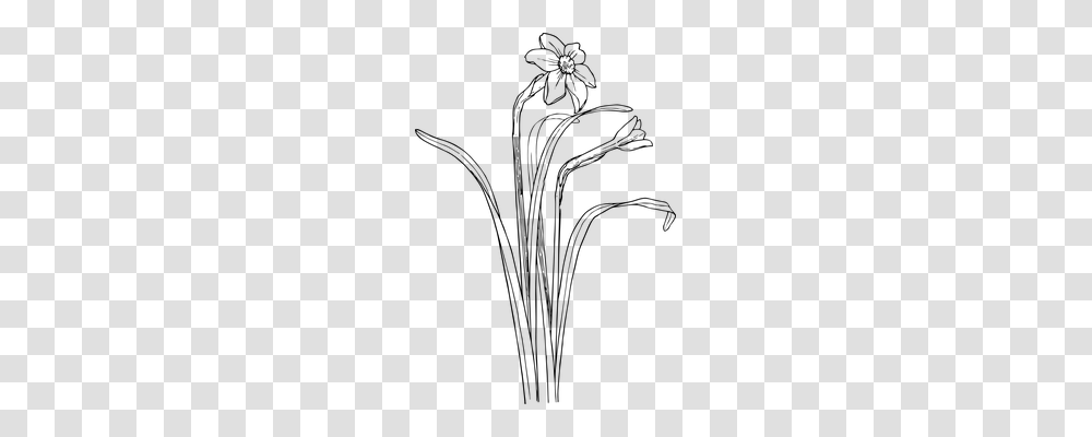 Daffodils Nature, Gray, World Of Warcraft Transparent Png