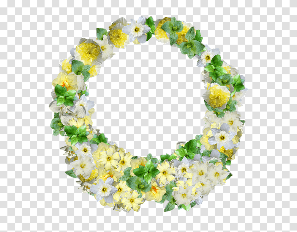 Daffodils 960, Flower, Plant, Blossom, Lei Transparent Png