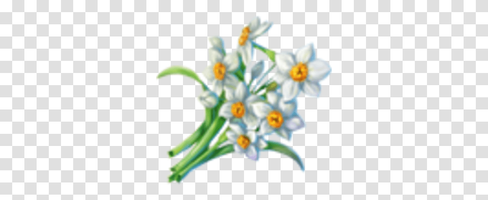 Daffodils Dreamfields Wiki Fandom Lovely, Plant, Flower, Blossom, Anther Transparent Png