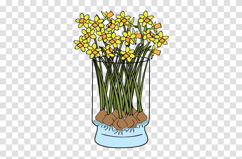 Daffodils Faq Bloomaker, Plant, Flower, Blossom, Lamp Transparent Png