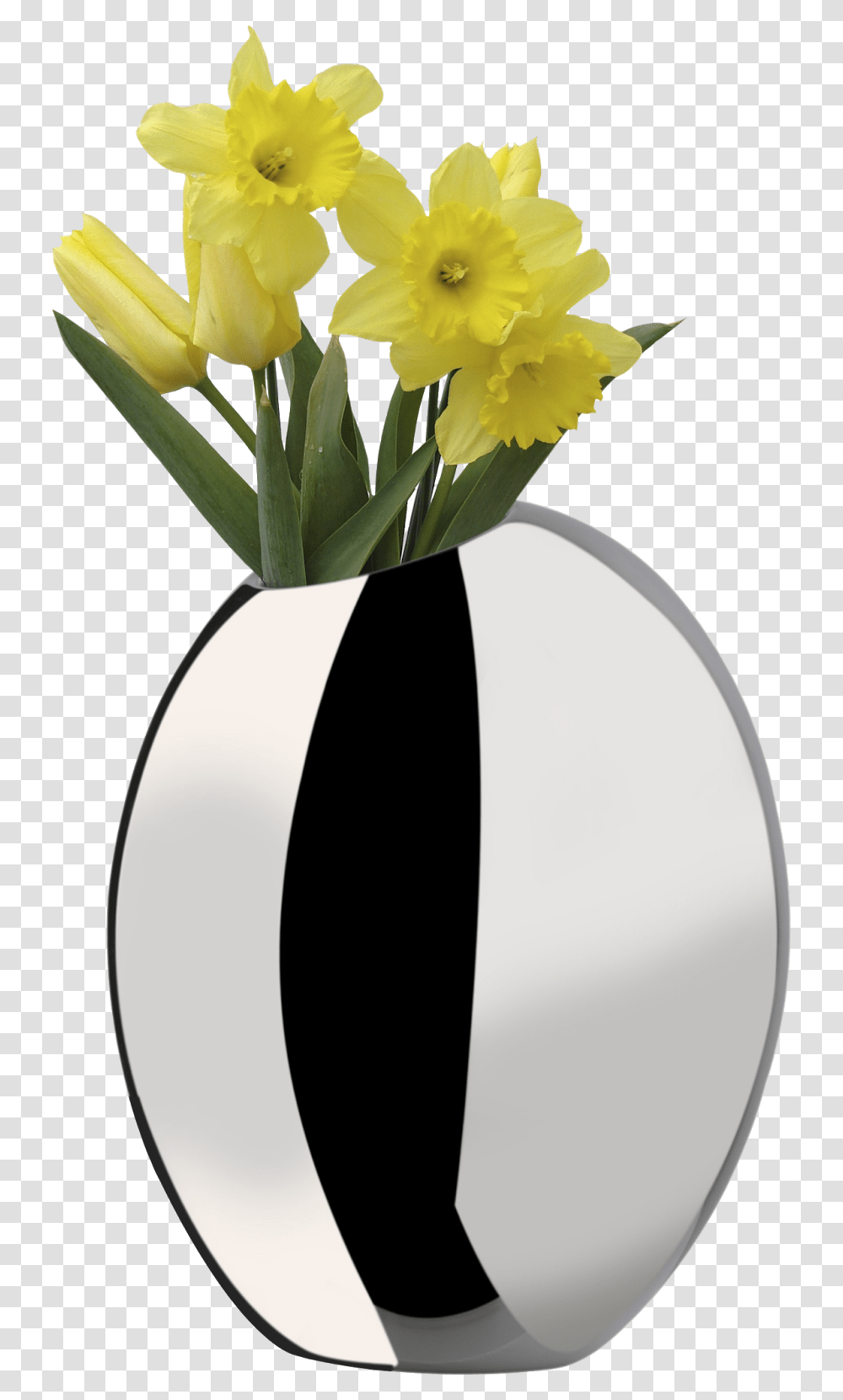 Daffodils In Vase, Plant, Flower, Blossom, Flower Arrangement Transparent Png
