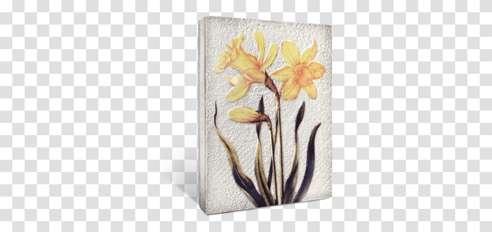 Daffodils Orange Decorative, Painting, Art, Canvas Transparent Png