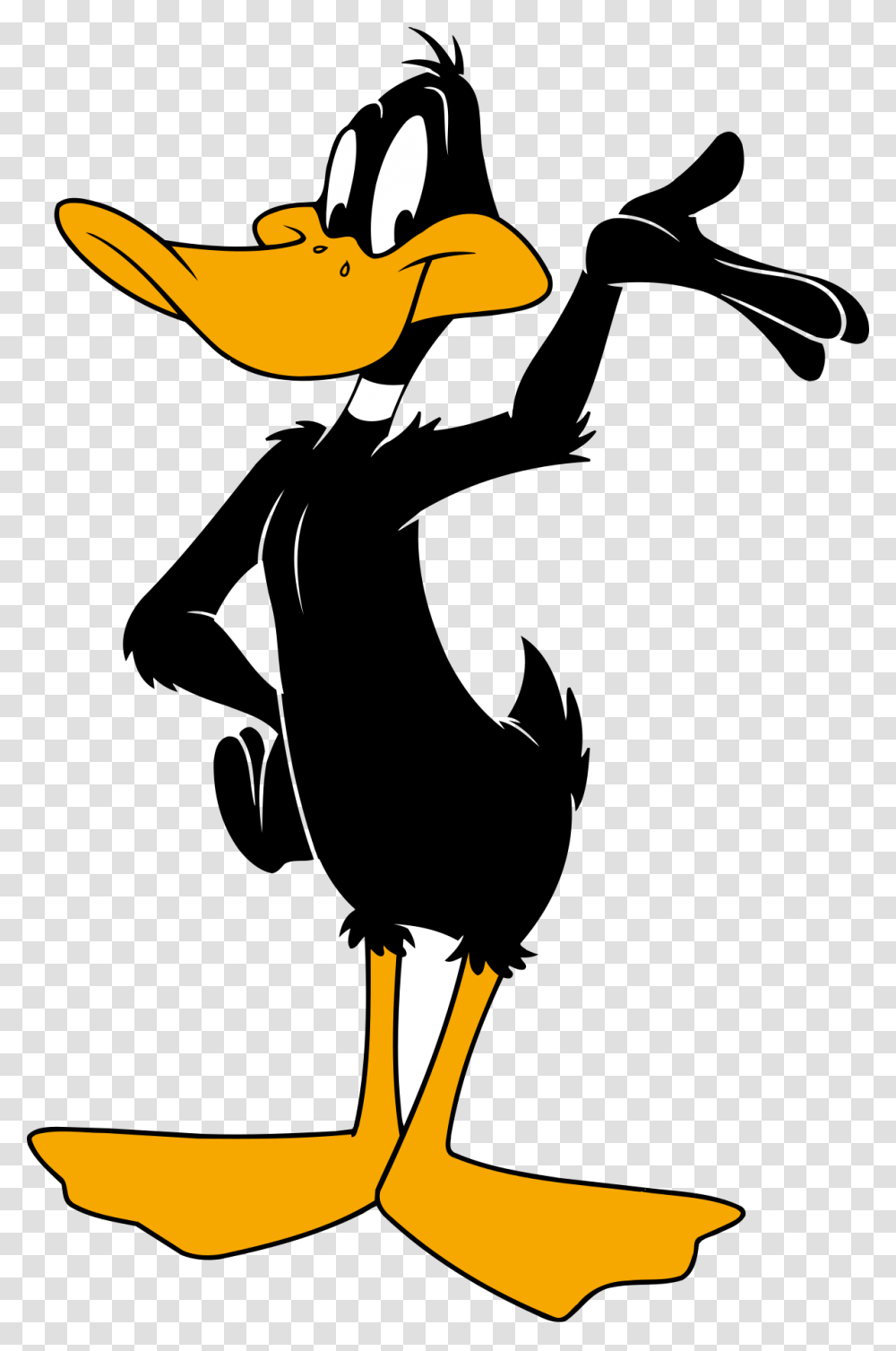 Daffy Duck, Coat, Animal, Light Transparent Png