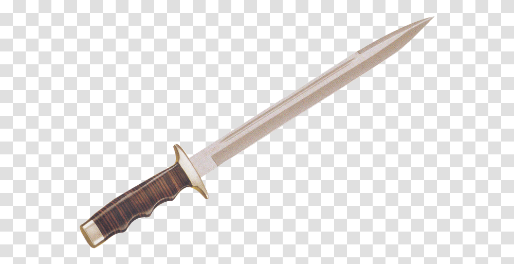 Dagger Combat Knife, Weapon, Weaponry, Blade, Sword Transparent Png