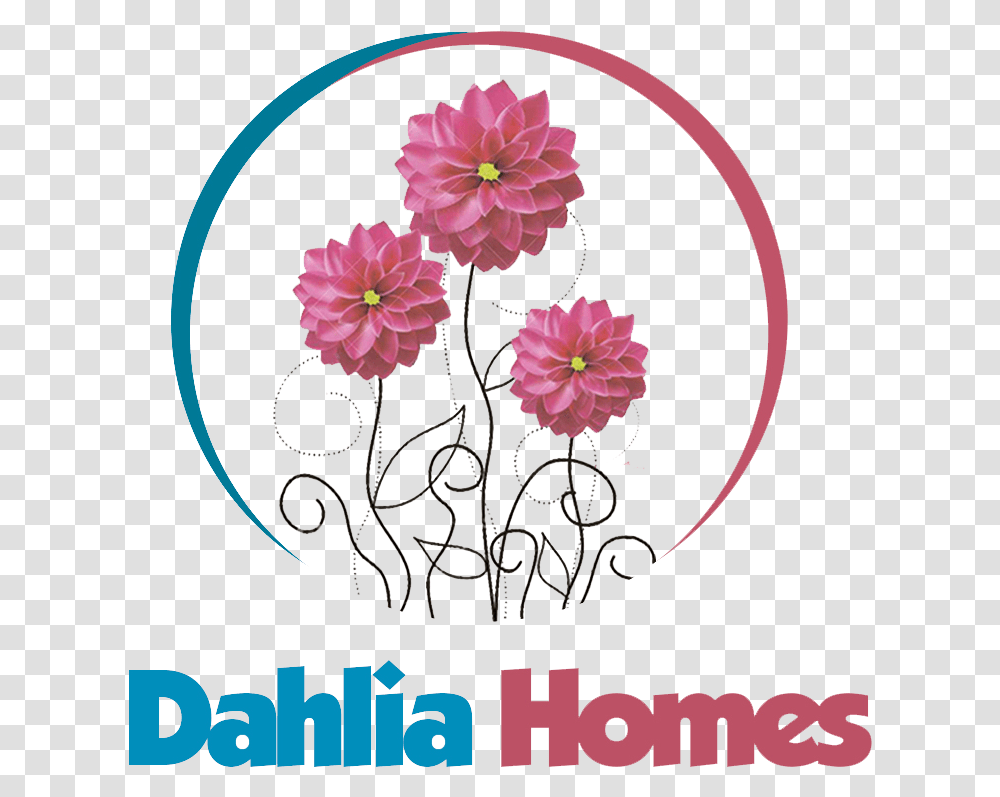 Dahlia Daisy Family, Floral Design, Pattern Transparent Png