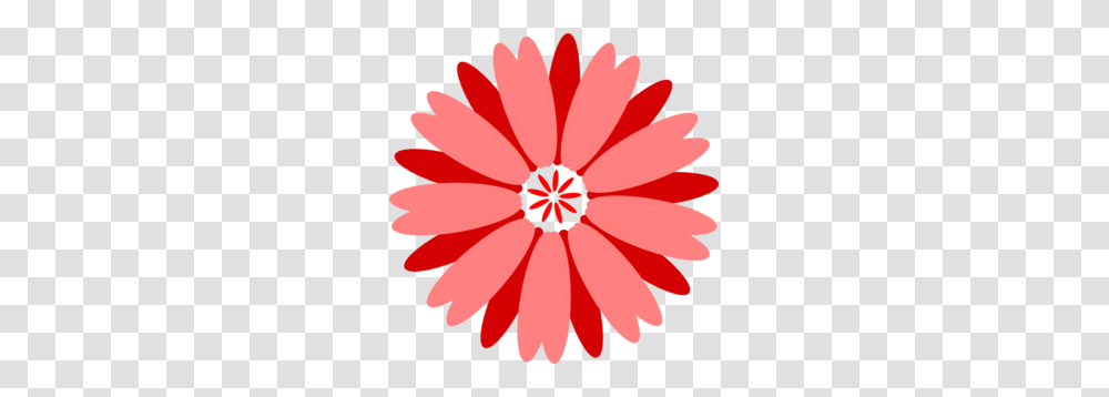 Dahlia Flower Clip Art, Petal, Plant, Blossom, Daisy Transparent Png