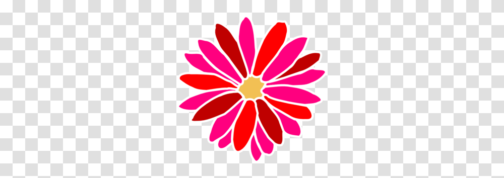 Dahlia Flower Clip Art, Petal, Plant, Blossom, Daisy Transparent Png