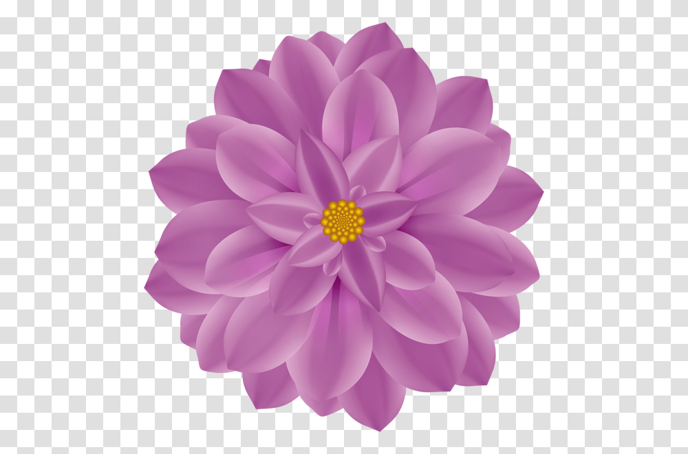 Dahlia Flower Clip Art Pink And Purple Daisy Drawing, Plant, Blossom, Rose, Petal Transparent Png