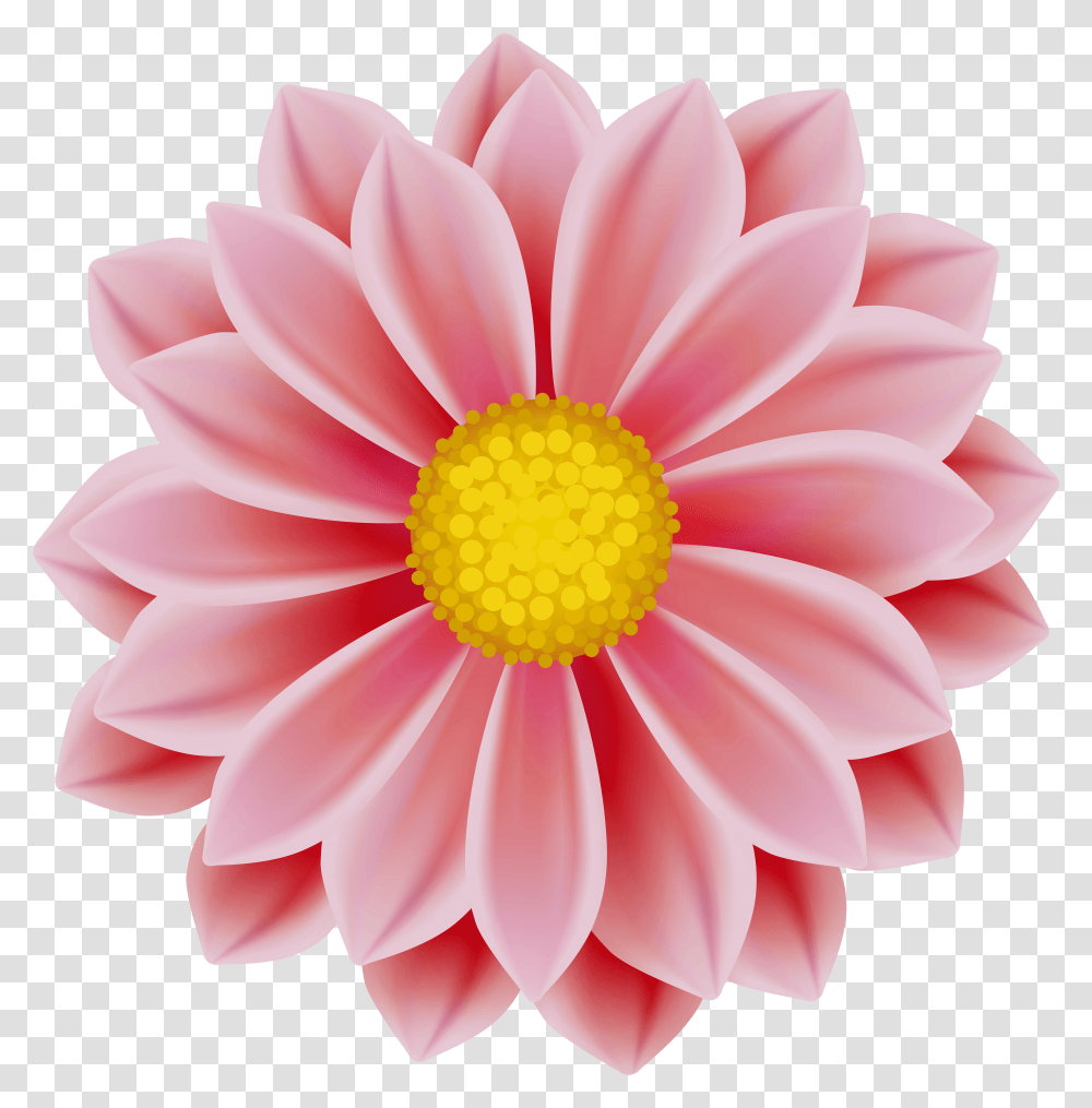 Dahlia Flower Clipart Transparent Png