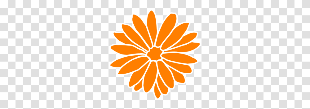 Dahlia Orange Clip Art, Plant, Daisy, Flower, Daisies Transparent Png