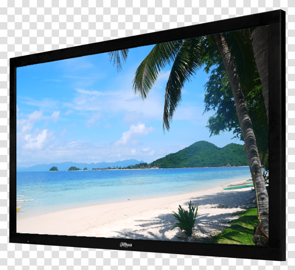 Dahua Monitor, Summer, Screen, Electronics, Land Transparent Png