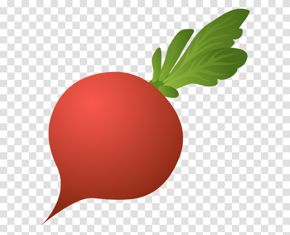 Daikon Vegetable Beetroot Black Spanish Radish, Plant, Food, Balloon, Produce Transparent Png