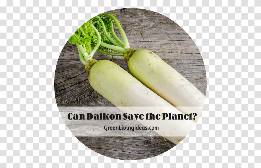 Daikon Veggie, Plant, Banana, Fruit, Food Transparent Png