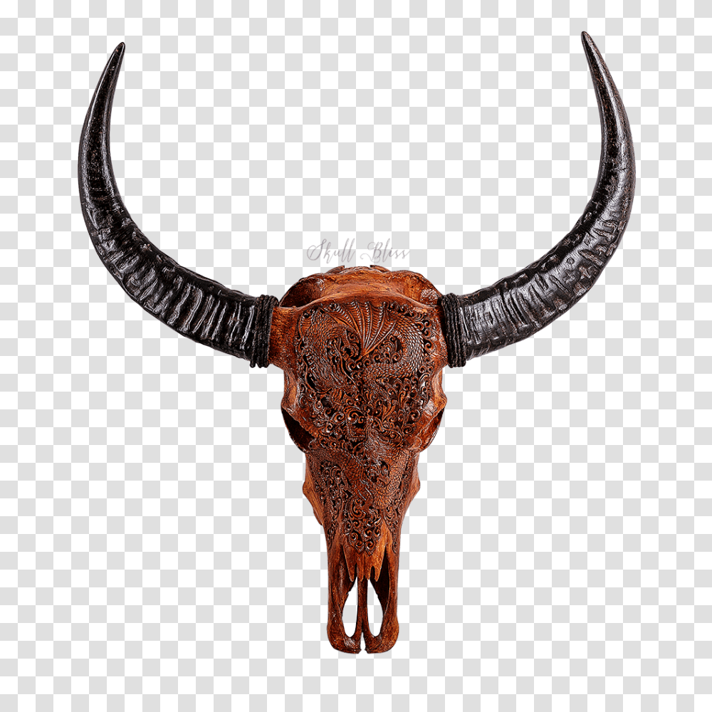 Daily, Animal, Longhorn, Cattle, Mammal Transparent Png