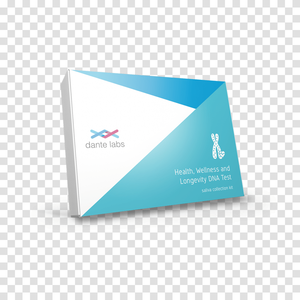 Daily, Business Card, Paper Transparent Png