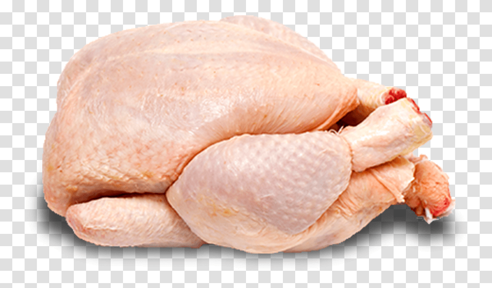 Daily Fresh Suguna Chicken, Poultry, Fowl, Bird, Animal Transparent Png