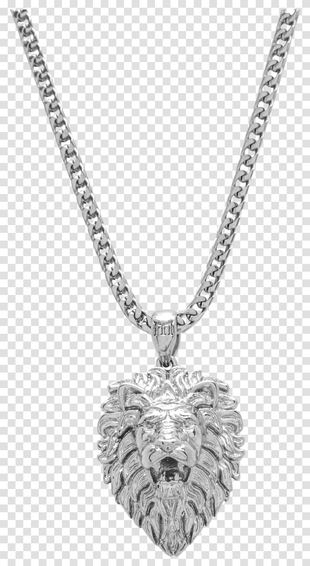 Daily Old Railway Bridge Wetlands Ecological Park, Pendant, Necklace, Jewelry, Accessories Transparent Png