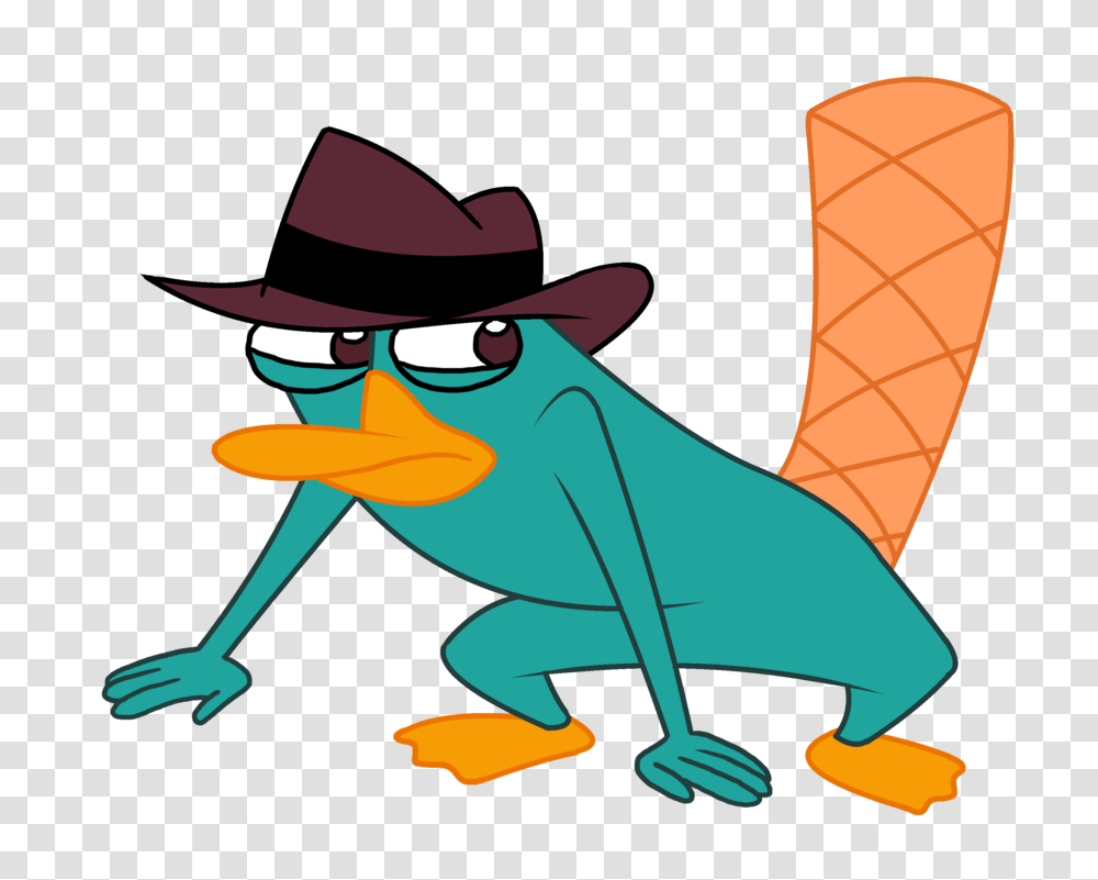 Daily Perry, Hat, Apparel, Animal Transparent Png