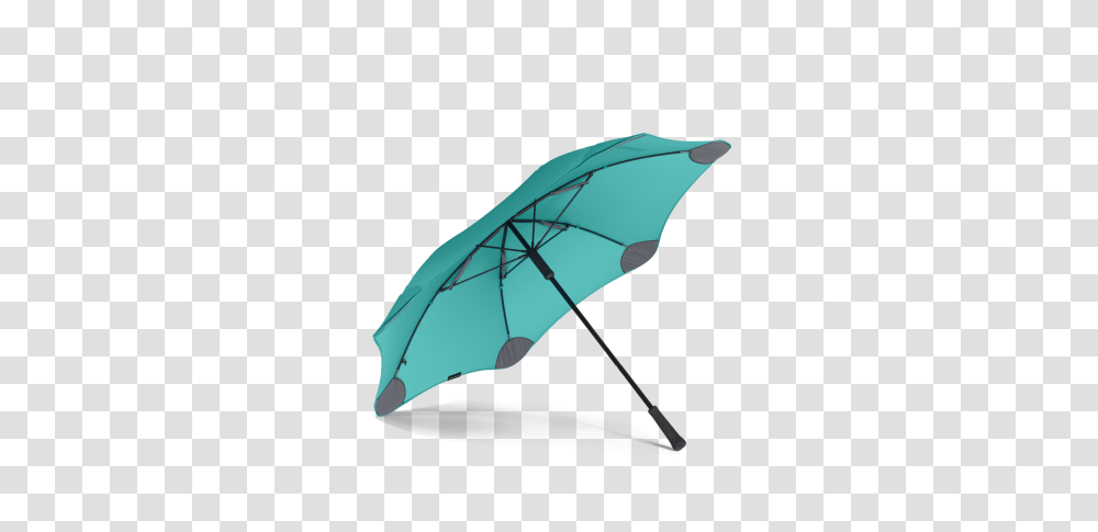 Daily, Umbrella, Canopy, Bird, Animal Transparent Png