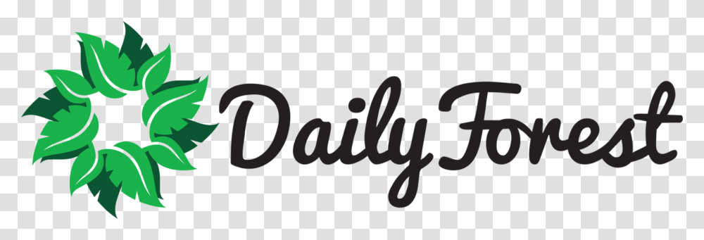 Dailyforest Calligraphy, Gray Transparent Png